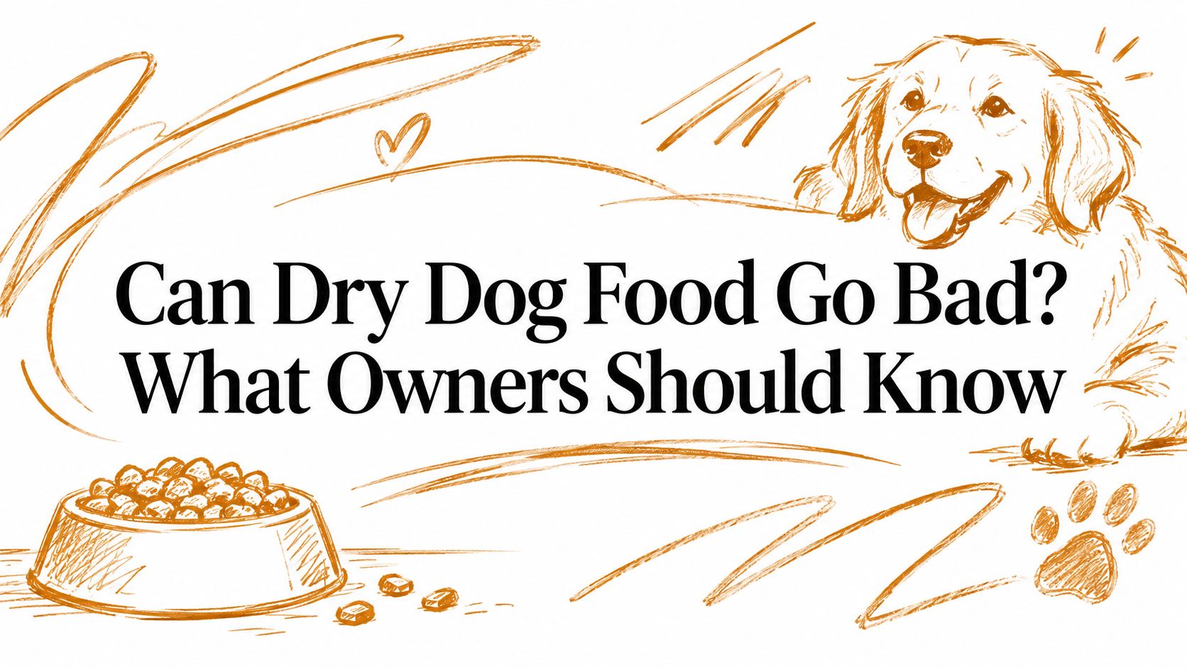 Can Dry Dog Food Go Bad? What Owners Should Know