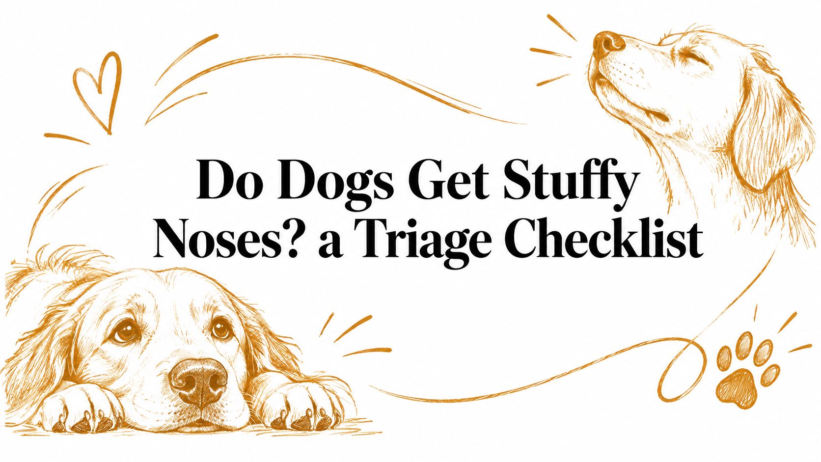 Do Dogs Get Stuffy Noses? a Triage Checklist