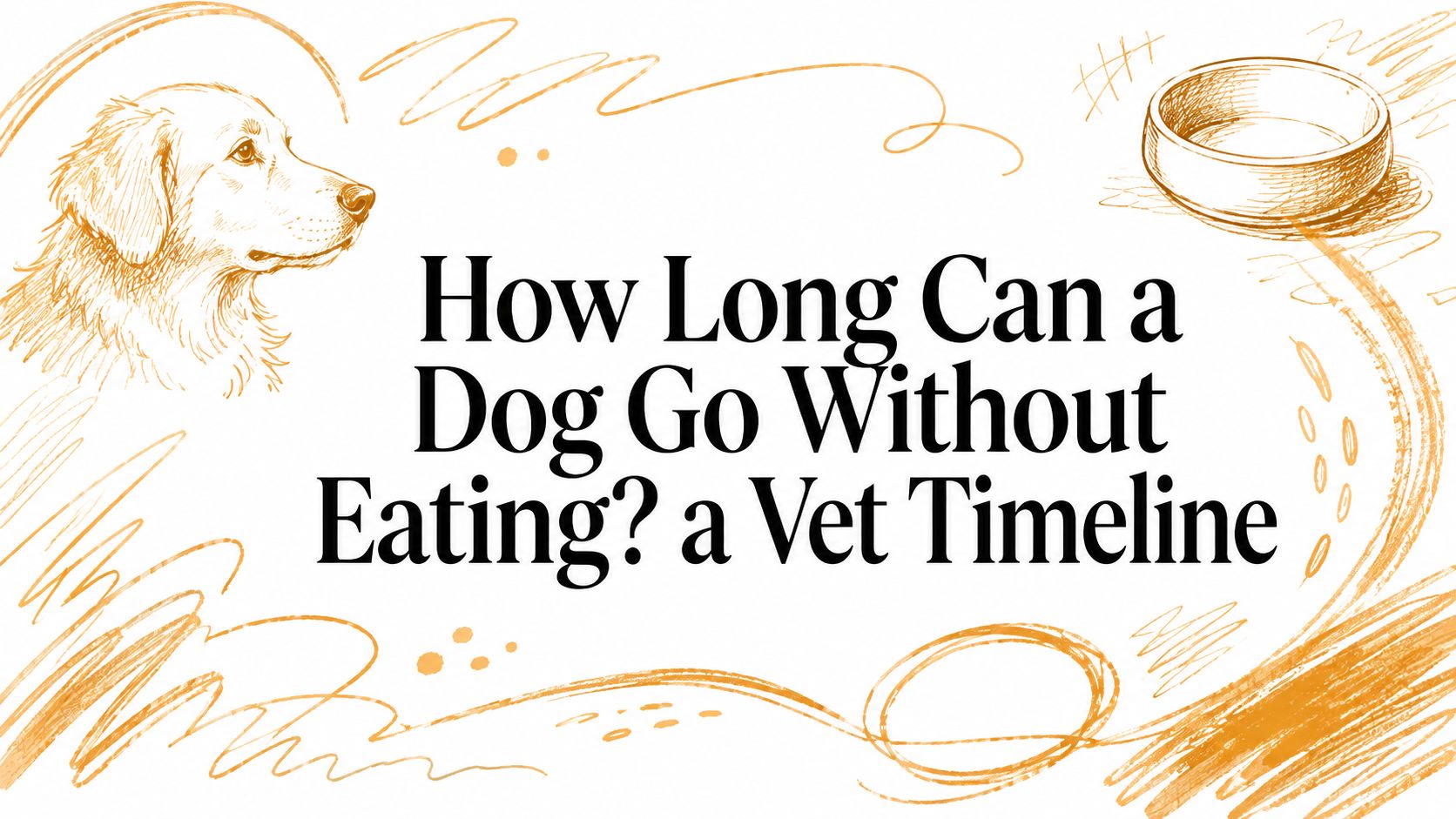 Per quanto tempo un cane può stare senza mangiare? Una timeline dal veterinario