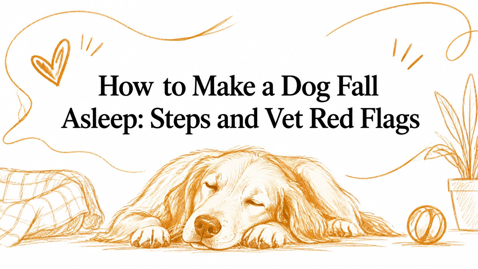 How to Make a Dog Fall Asleep: Steps and Vet Red Flags