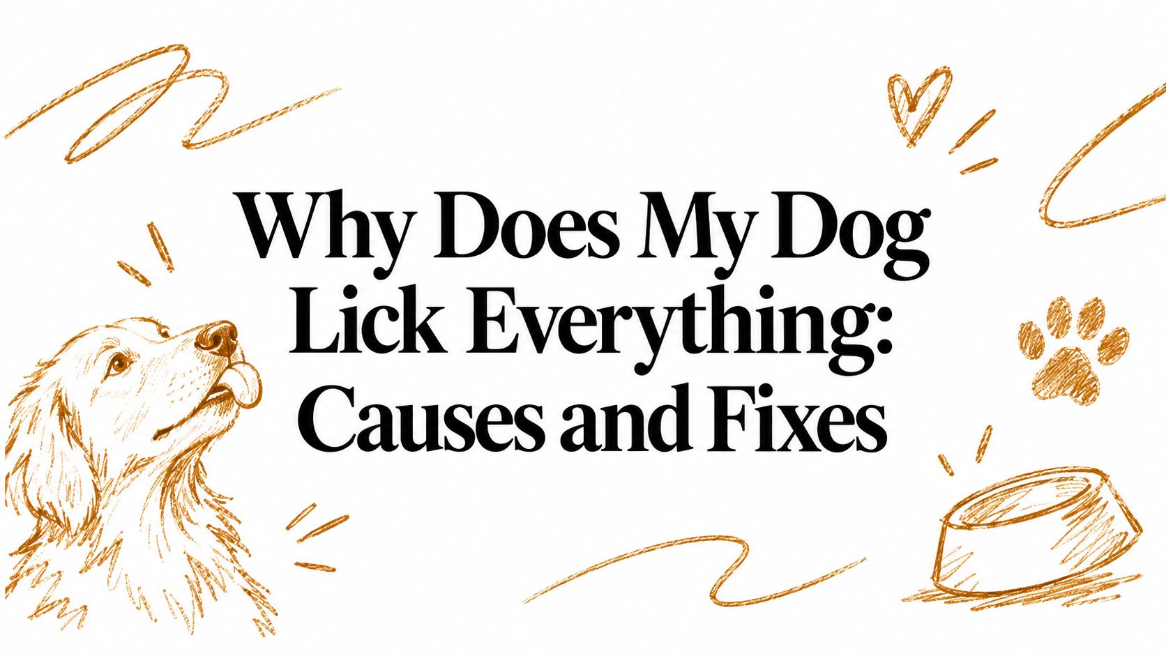 Why Does My Dog Lick Everything: Causes and Fixes